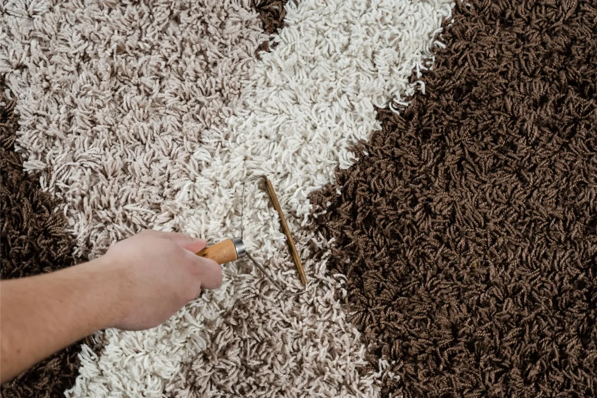 Carpet & Upholstery Cleaning (1)